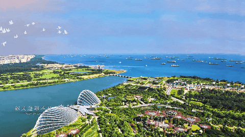 永利集团·yl8cc(中国游)官方网站