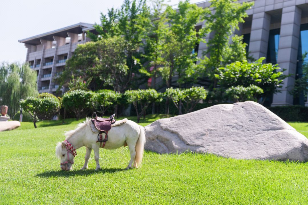 永利集团·yl8cc(中国游)官方网站