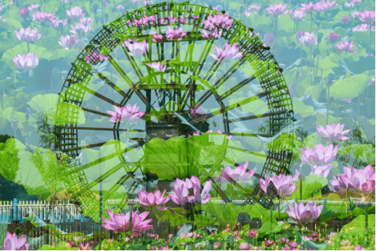 永利集团·yl8cc(中国游)官方网站