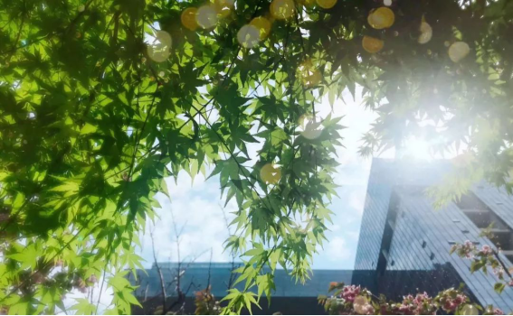 永利集团·yl8cc(中国游)官方网站