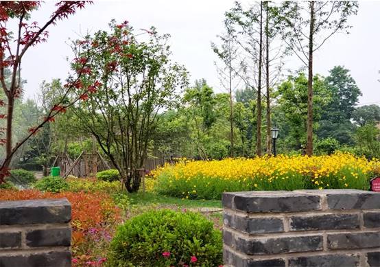 永利集团·yl8cc(中国游)官方网站