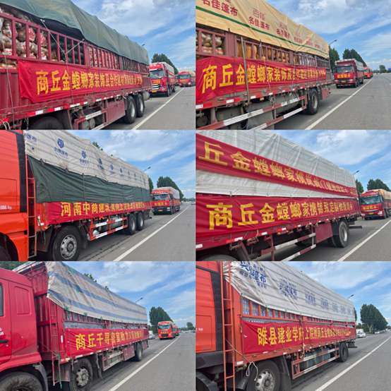 永利集团·yl8cc(中国游)官方网站