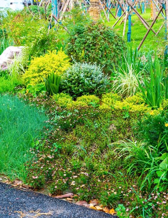 永利集团·yl8cc(中国游)官方网站